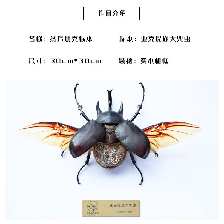 熱銷機械昆蟲標本 蒸汽昆蟲蒸汽朋克機械甲蟲標本亞克提恩大兜蟲創意擺件收藏品 機械昆蟲標本 蝦皮購物