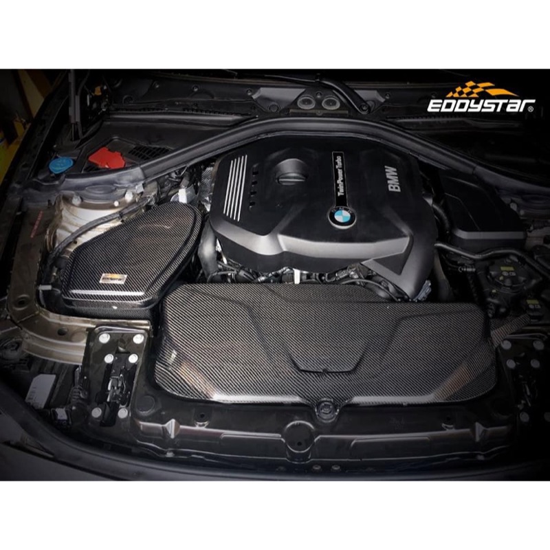 EDDYSTAR carbon  Gruppe M 碳纖維進氣 BMW B48 F30 F31 X1 X3 進氣套件