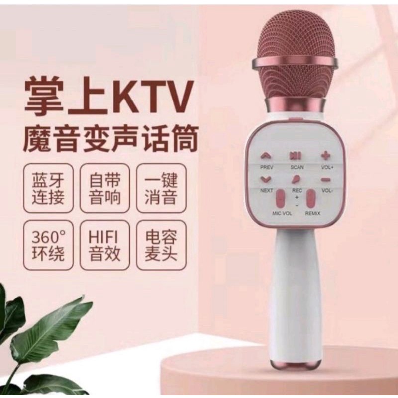 DS813 藍牙麥克風 可錄音 支援FM 拍照 可插卡 插USB 藍芽麥克風 行動KTV K歌神器