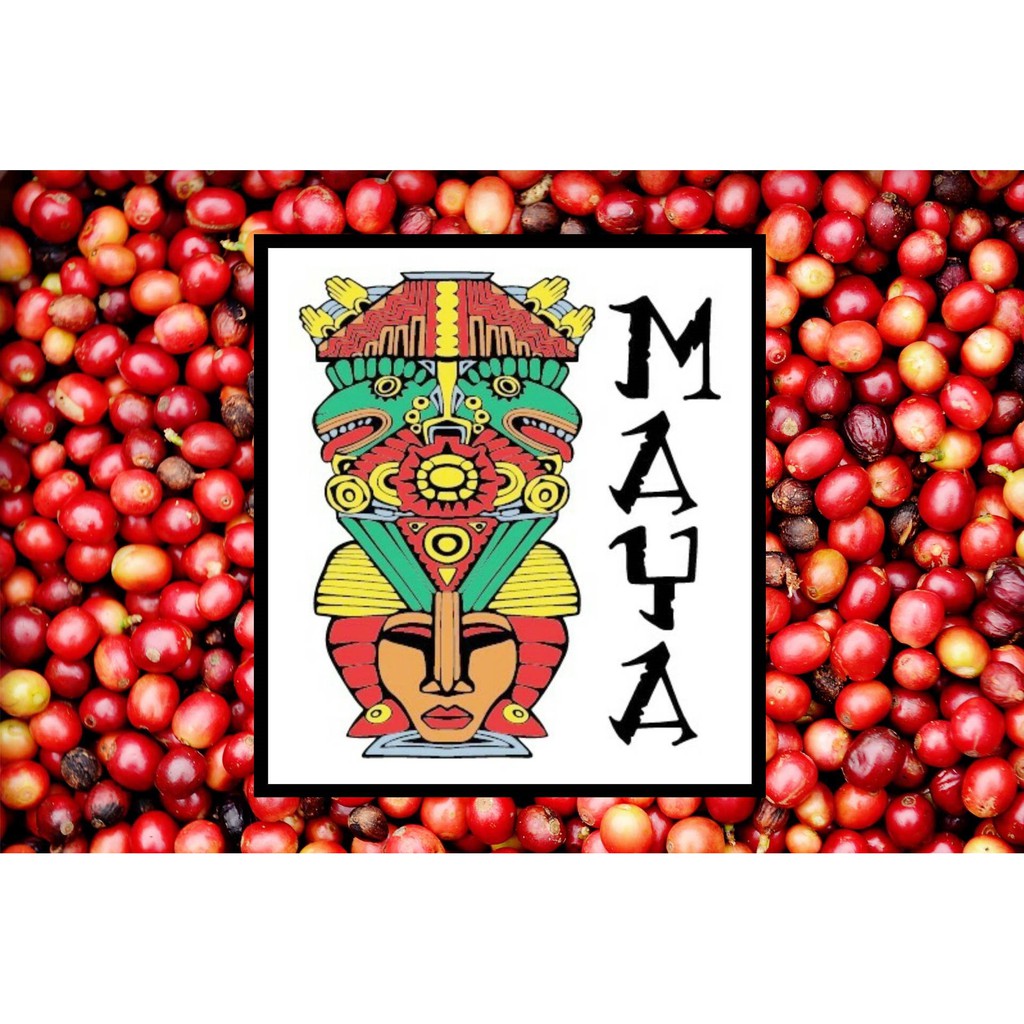 生豆 瓜地馬拉薇薇特南果瑪雅 咖啡生豆 蝦皮購物