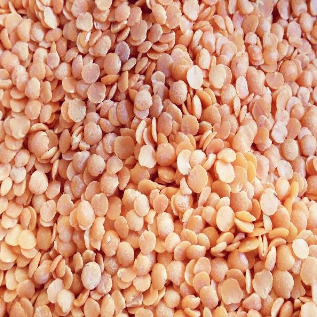 ｛豐｝糧行 紅扁豆（600公克）