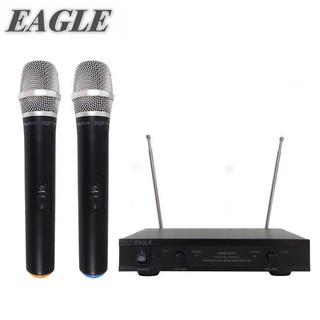 (TOP 3C家電)【EAGLE】專業級雙頻無線麥克風組 EWM-P21V 公司貨(實體店面)
