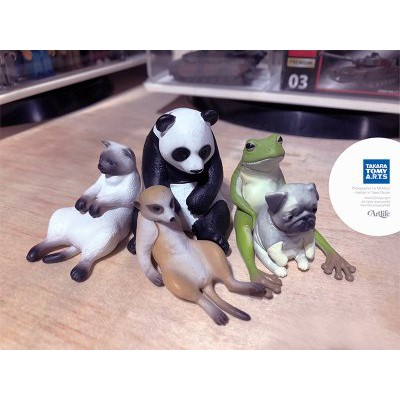 Takara Tomy 可愛動物休憩2時間目第二彈全套5隻巴哥犬熊貓熊狐獴暹羅貓青蛙 蝦皮購物