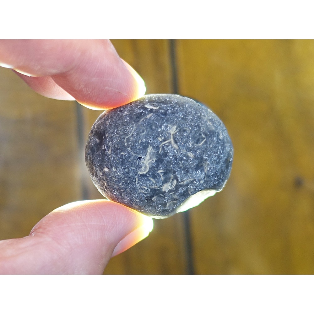 §能量礦石§ 亞利桑那隕石Saffordite Arizona天狼星隕石 重29.58g