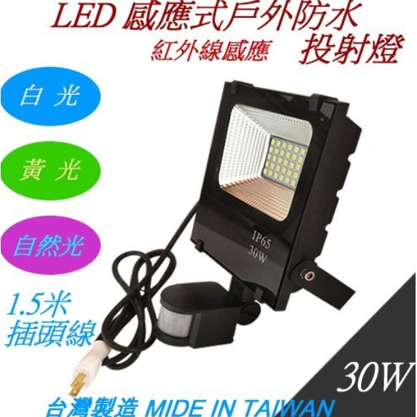 LED30W感應式戶外防水投射燈/1.5米插頭線/另有10W/20W/50W/100W