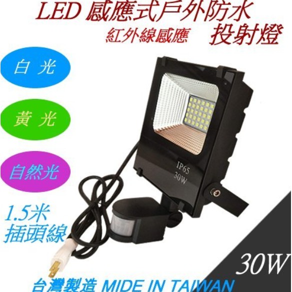 Led30w感應式戶外防水投射燈 1 5米插頭線 另有10w 20w 50w 100w 蝦皮購物