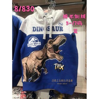 現貨 恐龍不倒絨帽T 保暖 男童長袖上衣 兒童刷毛上衣 男童刷毛上衣