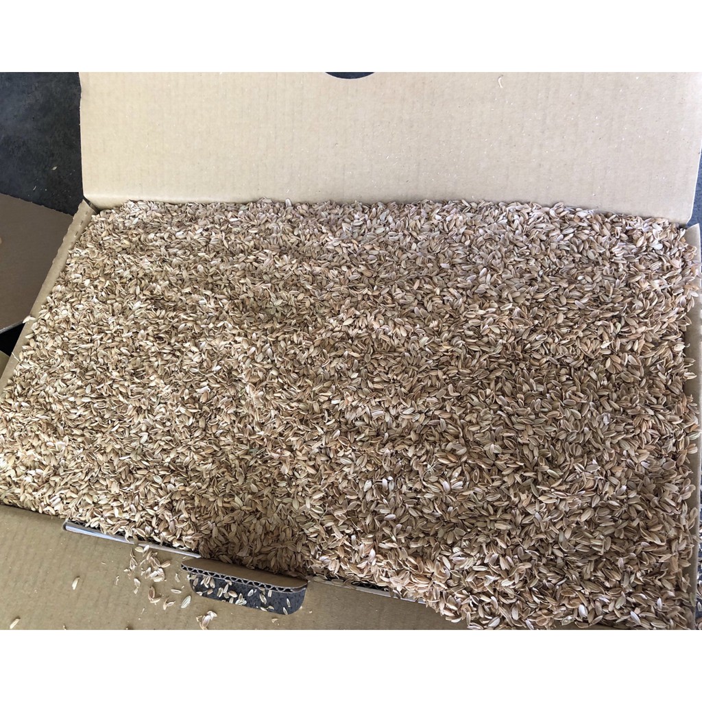 嘉文鵝品 超巨大生鮮鵝蛋 每顆150g 蝦皮購物