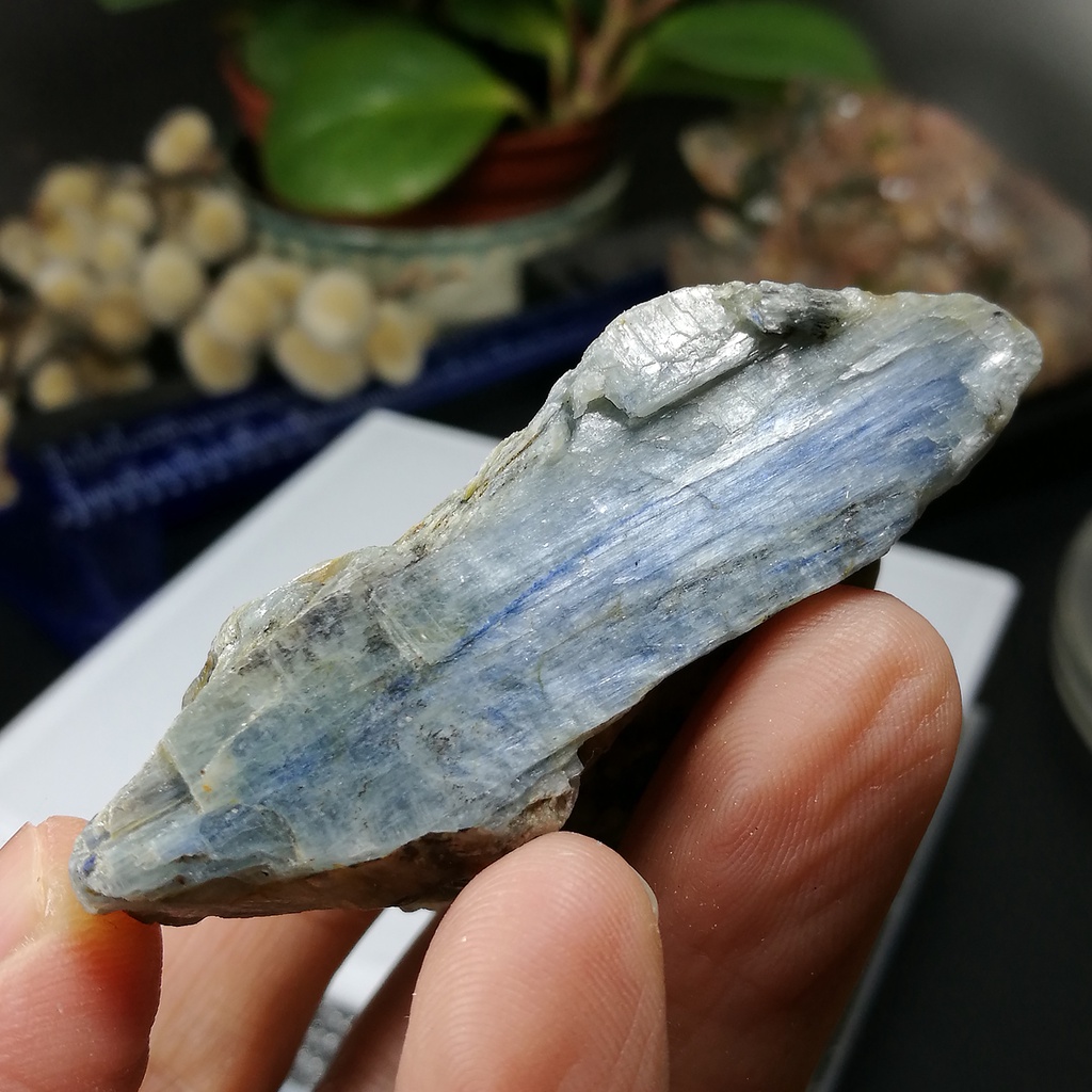 [友克鑫礦業]da36約重66.3g- 藍晶石原礦 Kyanite 無加工天然晶礦