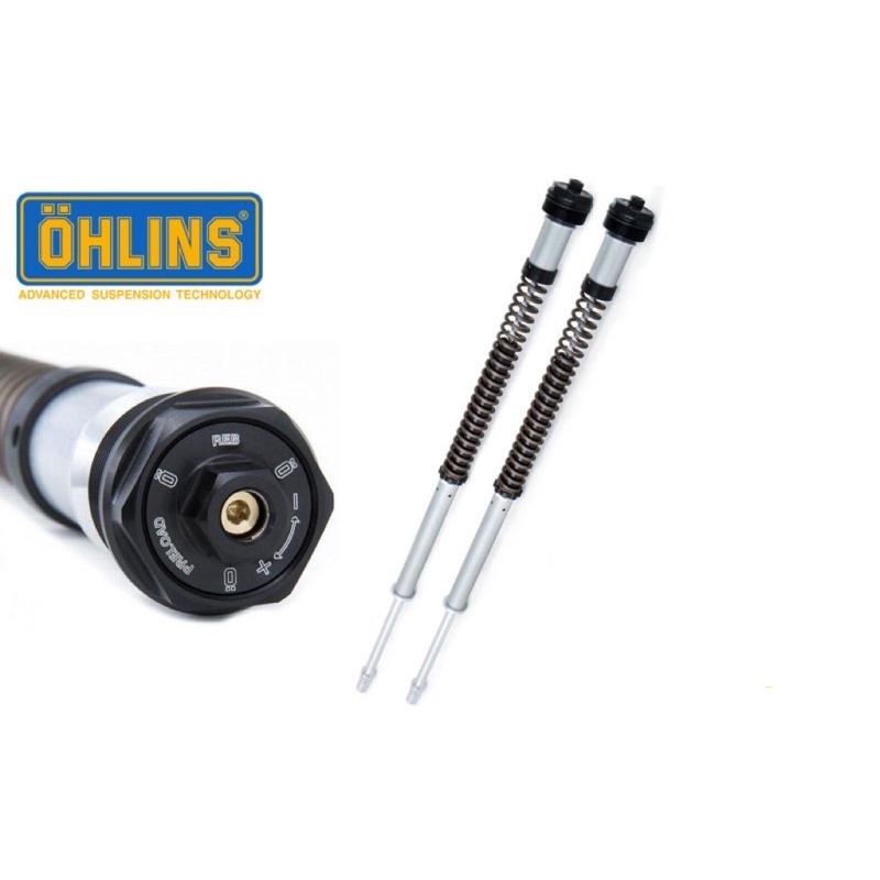 Ohlins YAMAHA TMAX560 FKS503（前叉彈簧組）