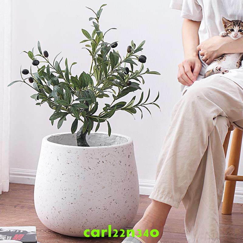 北歐花盆 園藝植作優惠推薦 居家生活21年9月 蝦皮購物台灣