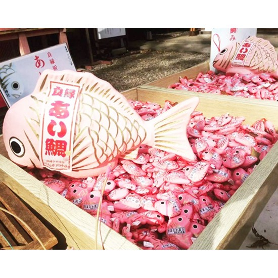 【預購】日本 川越 冰川神社 鯛魚籤 鯛魚御守~12月中出貨