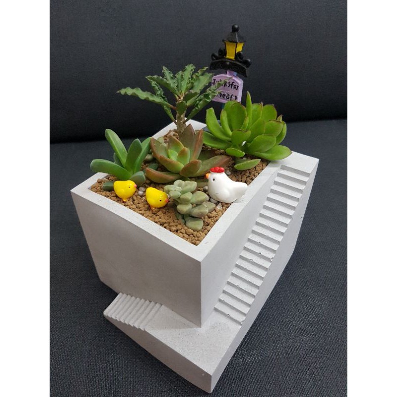 手作水泥盆 樓梯造型 灰 白 多肉植物水泥花盆 蝦皮購物