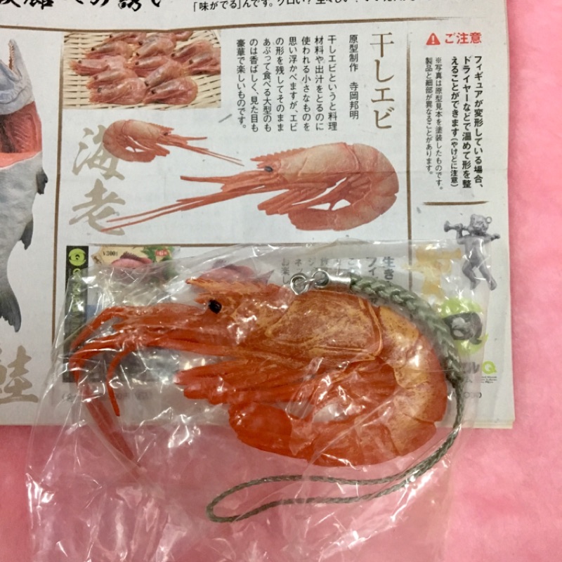 🦐絕版海洋堂 膠囊Q博物館 干物の根付 蝦子吊飾扭蛋🦐