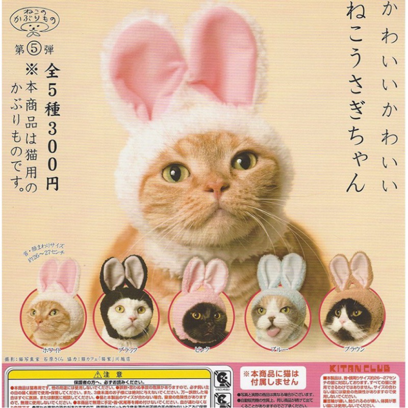 【現貨】貓咪頭套 咖啡款 扭蛋貓咪頭套系列