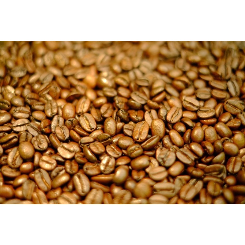 淺焙 莫札特 哥斯大黎加 音樂家系列 蜜處理 半磅咖啡豆