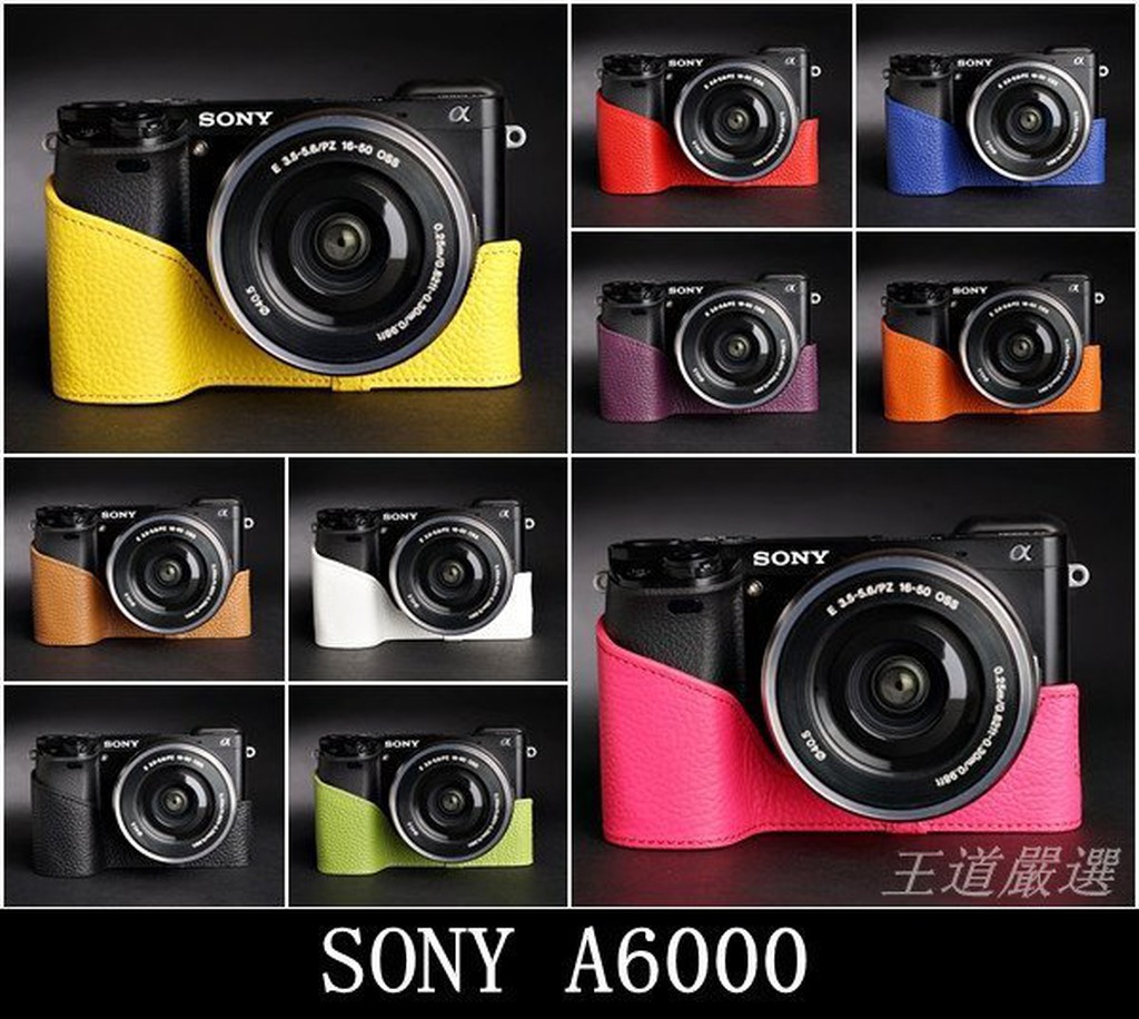 【台灣TP】真皮 適用於  SONY  A6000 相機底座 相機包 皮套