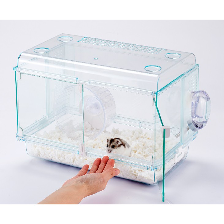 GEX 愛鼠透視屋 360/450/600 三種尺寸 透明鼠籠 鼠籠 玻璃鼠籠 鼠屋