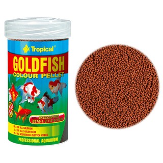 [HAPPY水族]波蘭 Tropical 德比克 強化免疫力高階金魚飼料 金魚飼料 獅頭 上浮 顆粒 U-T60476