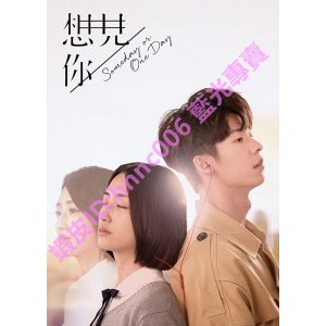 🔥藍光電視劇🔥	[台] 想見你 (Someday or One Day) (2019) [Disc *2][台版字幕]