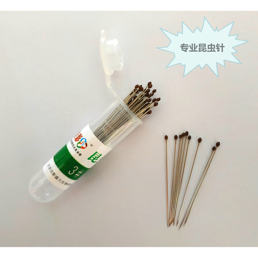 特價秒殺專業昆蟲針標本針不銹鋼蝴蝶昆蟲標本制作材料50根 包10 蝦皮購物