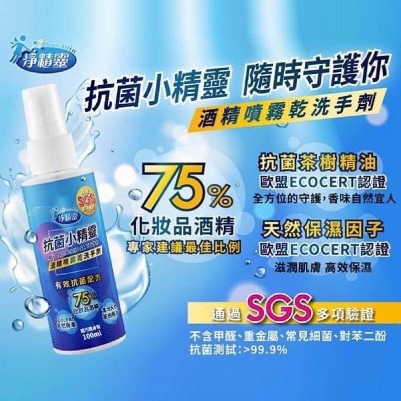 台灣製造淨精靈 抗菌小精靈75%酒精噴霧乾洗手劑 100ml