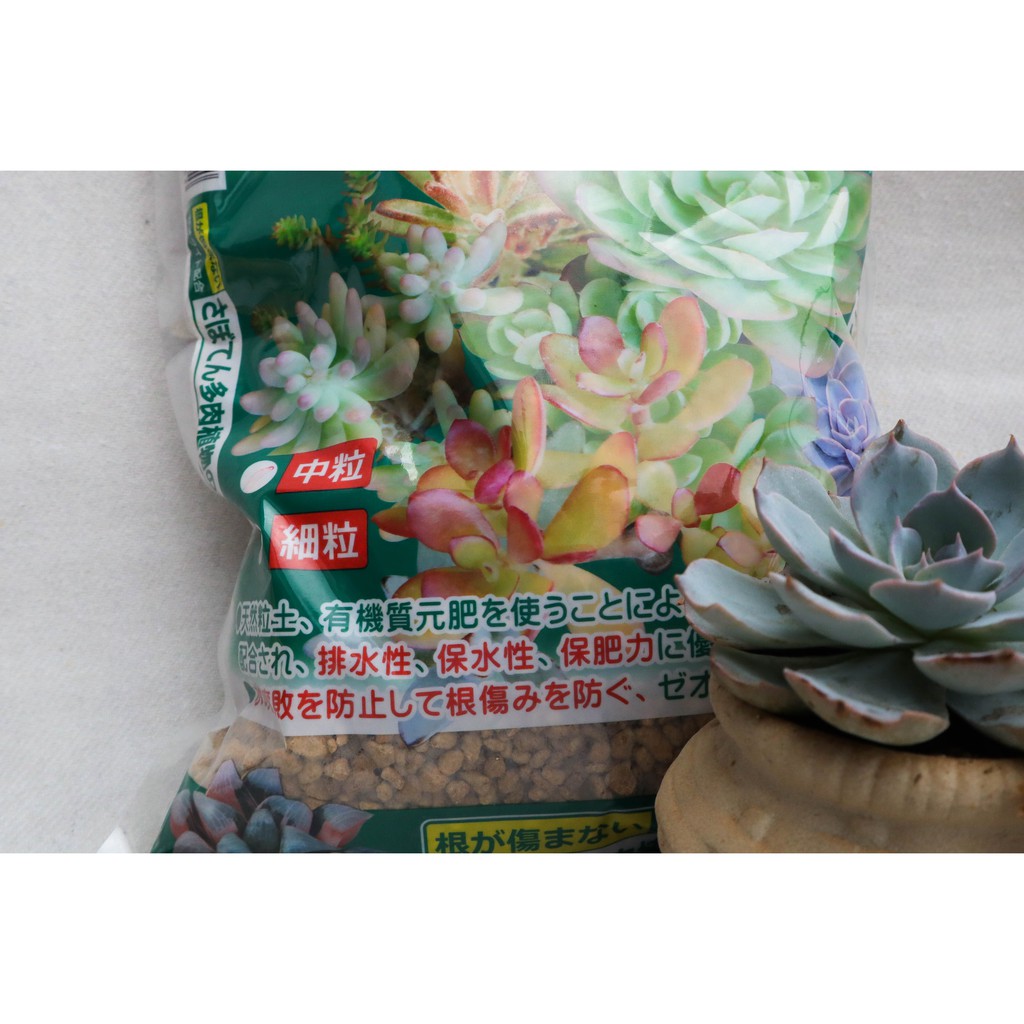 現貨 花之屋 仙人掌多肉植物專用土 栽培介質 多肉土 多肉介質 日本進口多肉介質 赤玉土 蝦皮購物