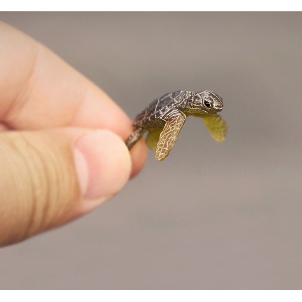 阿姬寶-GA712&gt;微景觀DIY滴膠海洋生物正版散貨 迷你小號海龜模型擺件 背行姿勢
