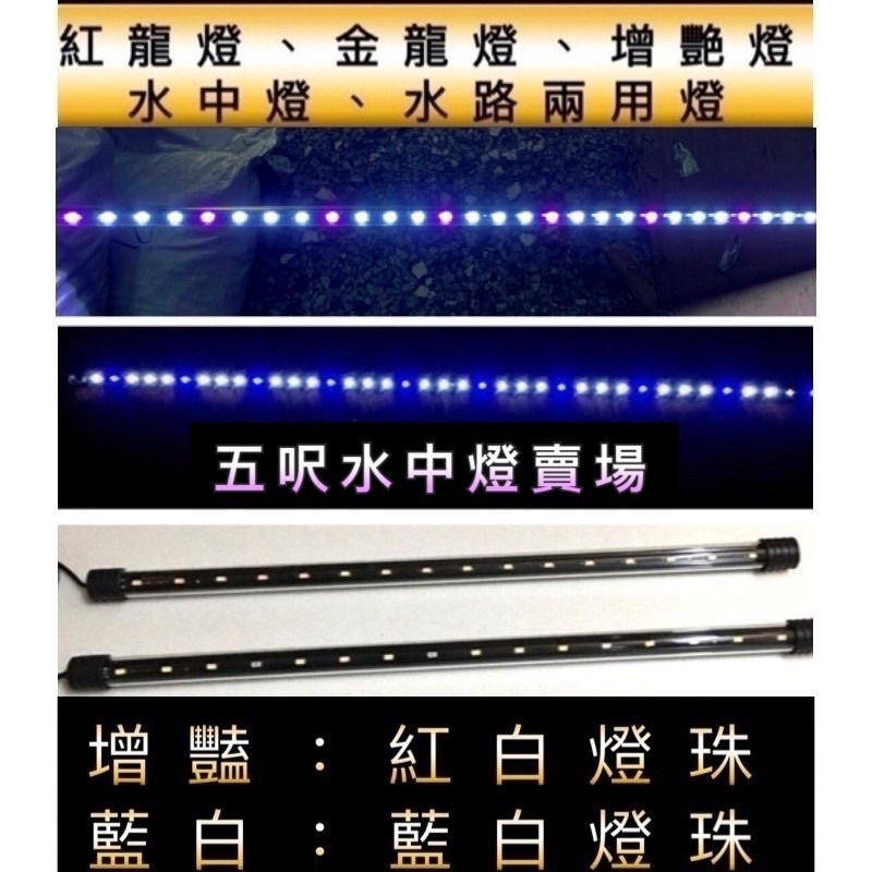 動力水族 水路兩用高演色性led 水中燈 紅魚不紅水紅龍燈金龍燈增豔燈側燈水中燈五呎五尺5呎5尺