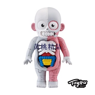 MEGAHOUSE 人體模型 公仔玩具3D立體拼圖 生日禮物【夢里】