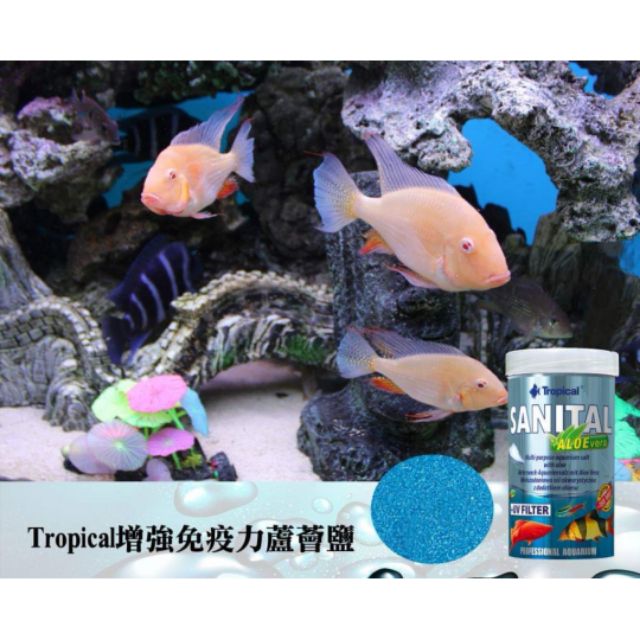 【鑫林水族】波蘭德比克TROPICAL增強免疫力蘆薈鹽（500-1000ml) 孔雀魚 粗鹽 水族用品 鼠魚 異型