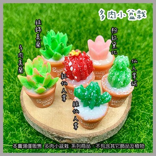 桌上造景盆栽的價格推薦 21年11月 比價撿便宜