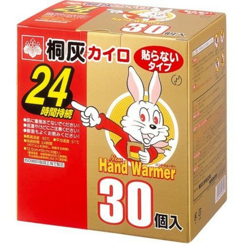 現貨小林製藥日本境內版24H桐灰小白兔30片盒裝