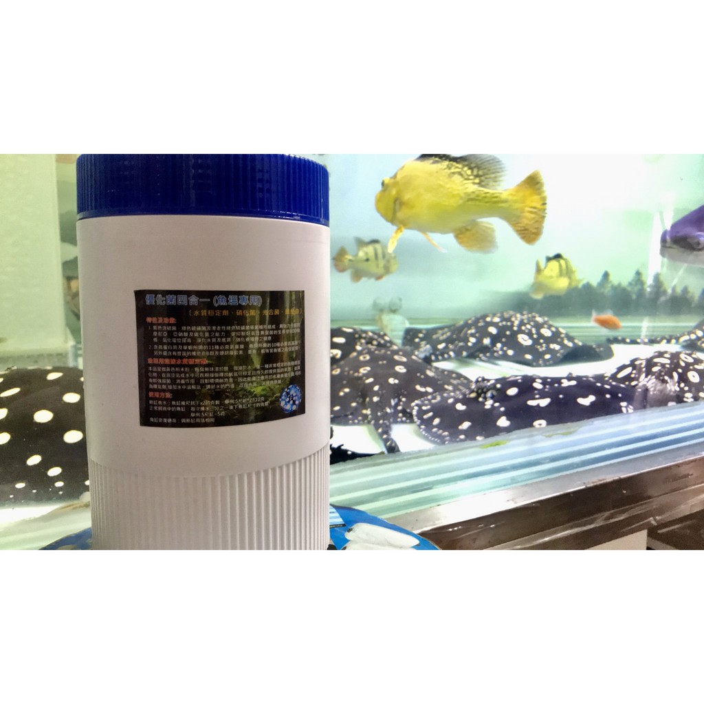 水族專用 優化菌四合一魚塭專用 粉狀 大罐裝 蝦皮購物