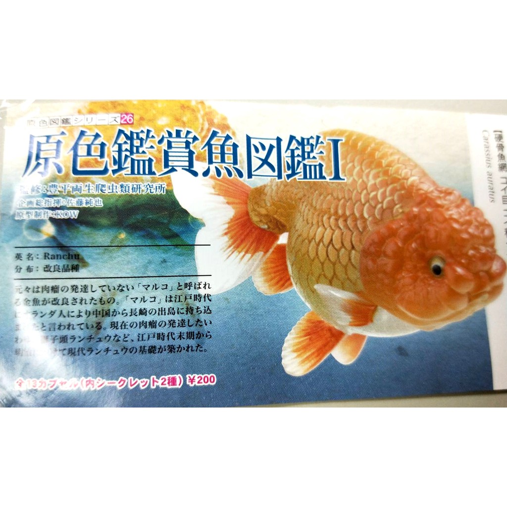 日本 yujin 原色鑑賞魚圖鑑∣ 全新整套含蛋殼 (金魚)