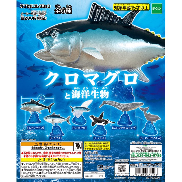 【模吉龍】EPOCH 轉蛋 扭蛋 黑鮪魚 與 海洋生物 全六種 整套販售