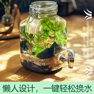 鬥魚瓶 優惠推薦 21年6月 蝦皮購物台灣