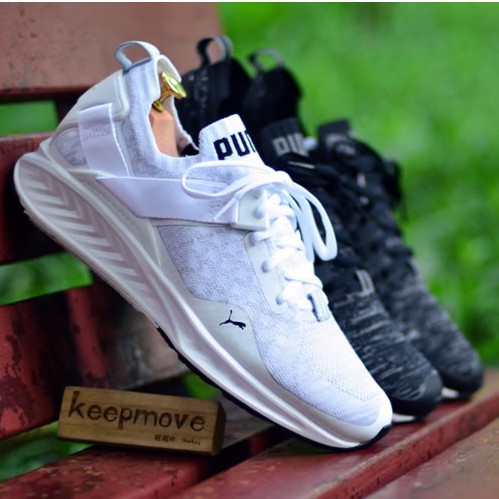 puma ignite evoknit lo