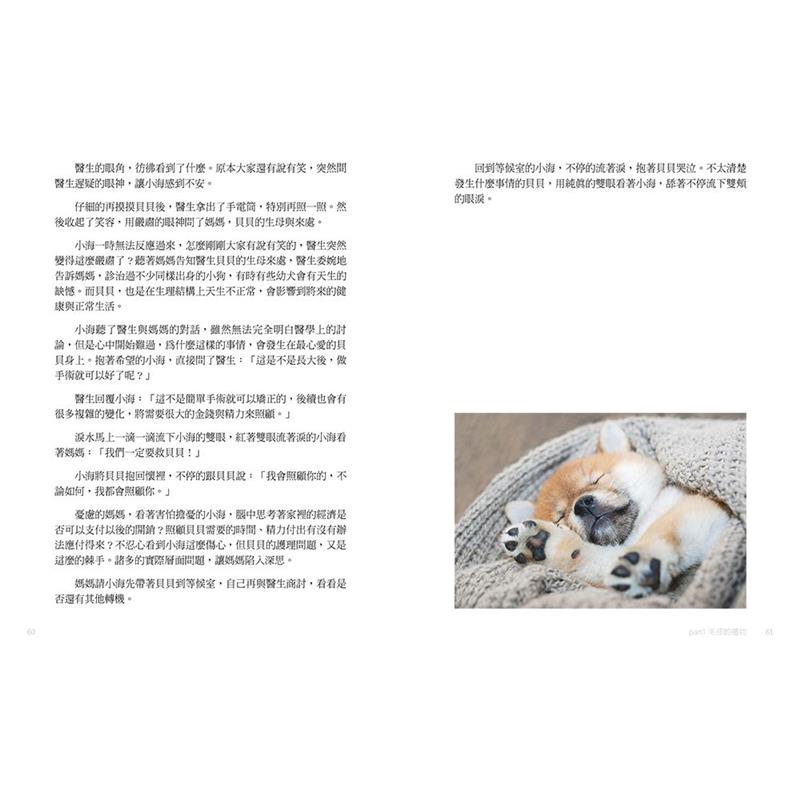 遇見毛孩 遇見更好的自己 陪伴寵物生病老後 學會對自己最重要的人生課題 9折 蝦皮購物