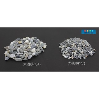 台中阿永 大磯砂 最適合孔雀魚及水草專用 1kg 特價 元 顆粒 約2分 蝦皮購物