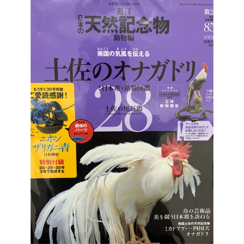 海洋堂天然紀念物長尾雞日本擬真動物非奇譚ntc 圖鑑 蝦皮購物