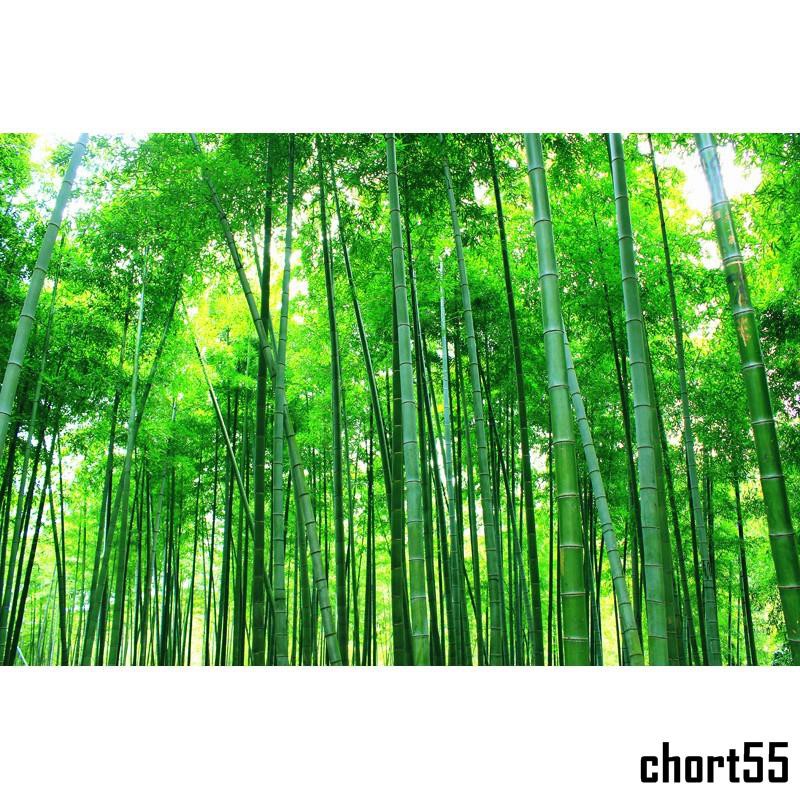 風景壁紙的價格推薦 21年7月 比價比個夠biggo