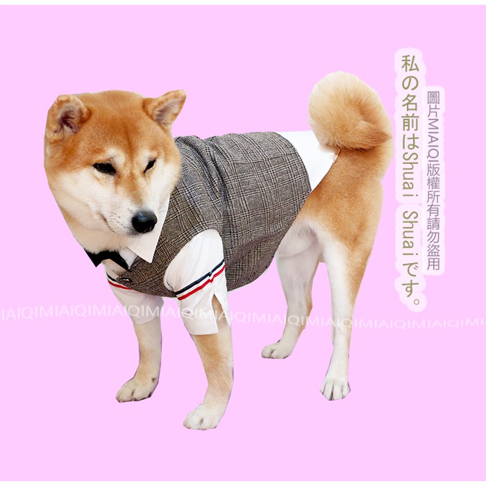 現貨 柴犬紳士英倫風襯衣 背心馬甲 贈送領結三件套 狗狗節日禮服寵物禮服生日禮服狗狗衣服 蝦皮購物