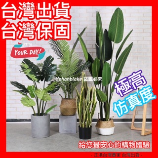 🔜免運費🔜臺灣民雄出貨🔥超擬真仿真植物🔥假植物北歐風格ins網紅綠植 闊葉龜背葉盆栽 旅人蕉 假花假樹 仿真植物 假植物