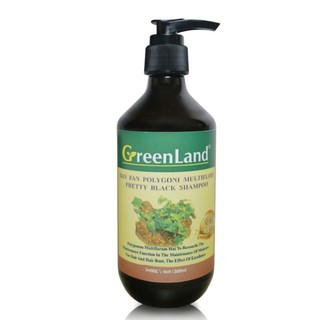 臺南貓媽 GreenLand 漢本首烏黑靚賦活洗髮精300ml~GreenLand全新何首烏黑亮賦活洗髮精