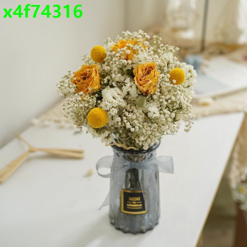 大地農園不凋花 拍賣 評價與ptt熱推商品 21年4月 飛比價格