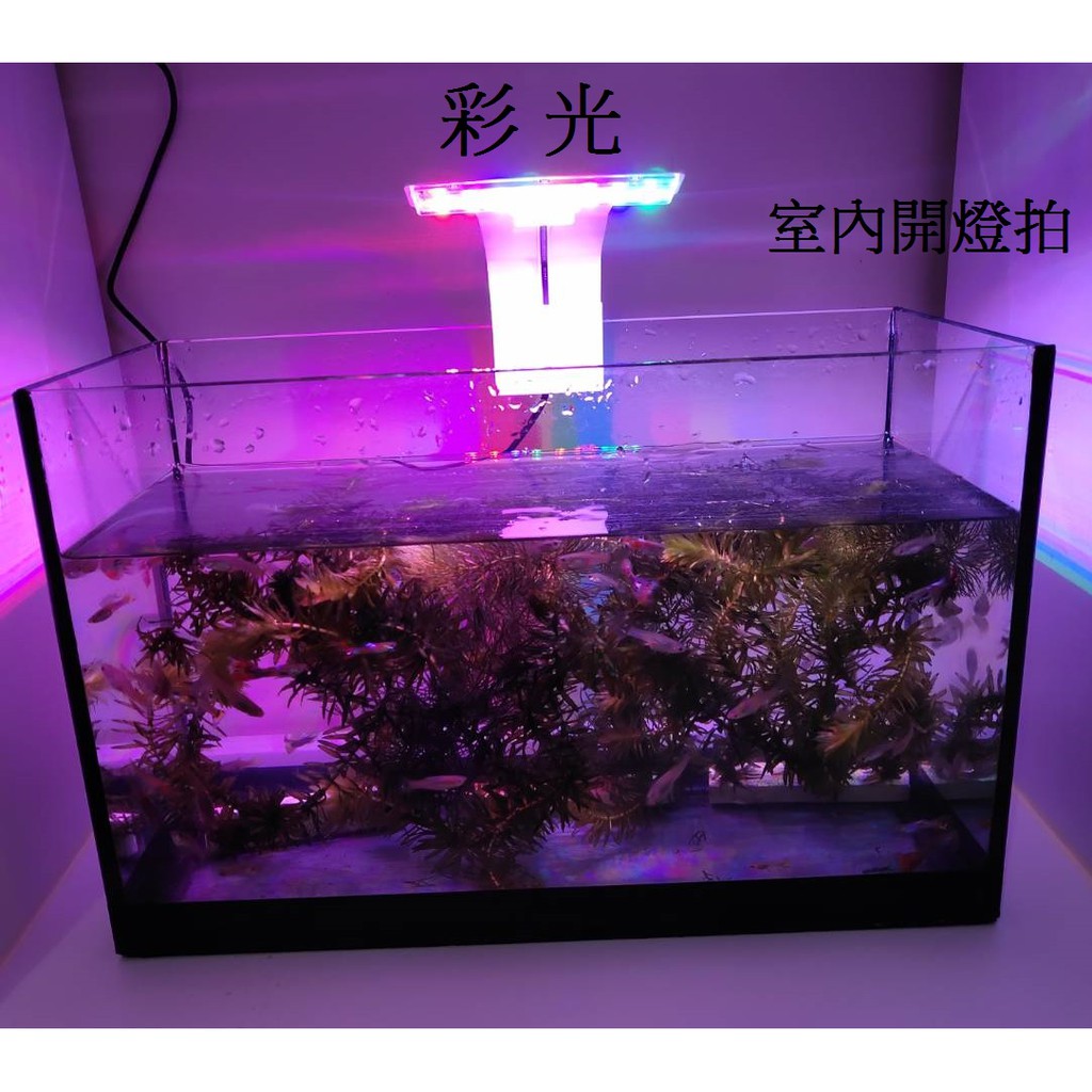 特價中 魚缸燈 水族箱照明燈 水草燈 魚缸夾燈 LED魚缸燈 防水高亮 造景燈 水族燈 龜缸夾燈 三檔變色