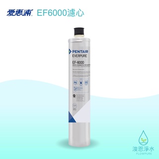 【原廠公司貨】愛惠浦｜EF6000 濾心 ( 濾芯 brita濾芯 濾水器 淨水器 濾水器濾芯 大胖濾心 淨水器濾心 )