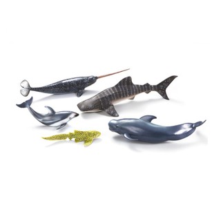 【阿LIN】89671A 海洋動物禮盒 恐龍動物禮盒 COLLECTA 動物模型 益智 教育 教學 5PCS 6PCS