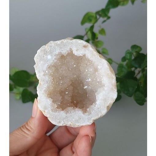 水晶花園－礦晶－摩洛哥 聚寶盆 雷公蛋 小晶洞